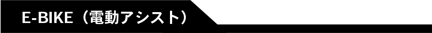 E-BIKE 電動アシスト自転車