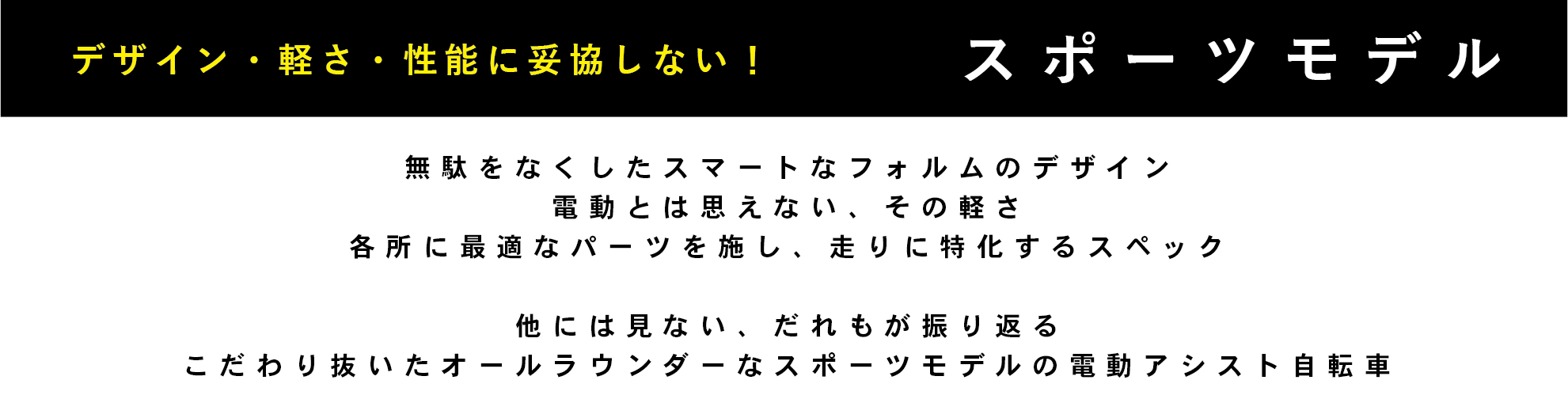 スポーツモデル