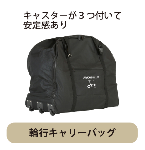 carry_bag